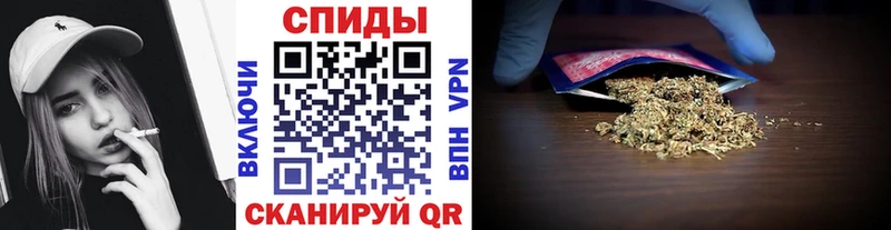 Купить закладки  Протвино  Бутират 1.4BDO 