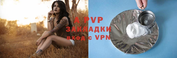 spice Кинешма