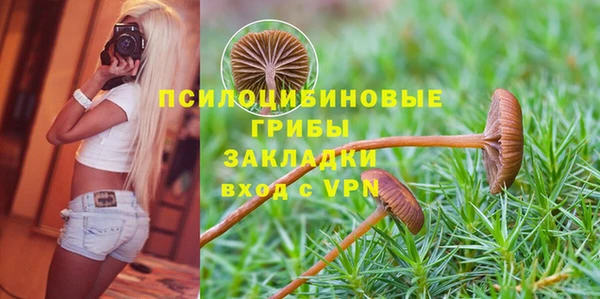 мдпв Карталы