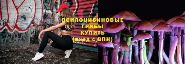 mix Карпинск