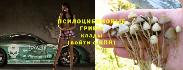 мдпв Карталы