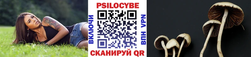 Псилоцибиновые грибы Cubensis  Купить где  Протвино 